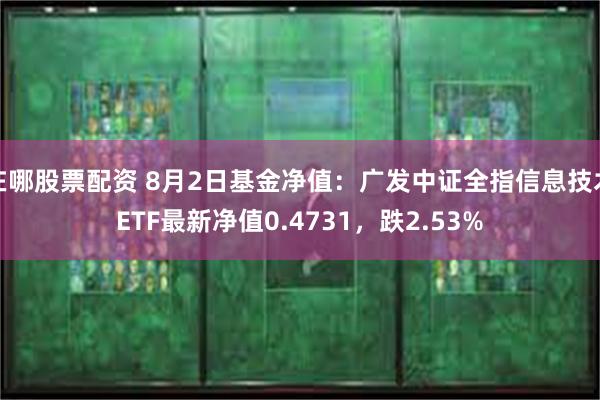 在哪股票配资 8月2日基金净值：广发中证全指信息技术ETF最新净值0.4731，跌2.53%