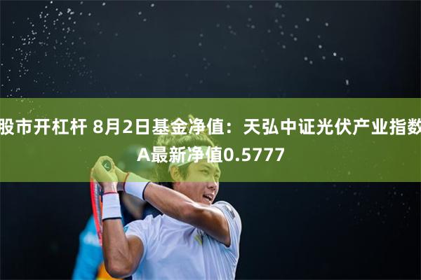 股市开杠杆 8月2日基金净值：天弘中证光伏产业指数A最新净值0.5777