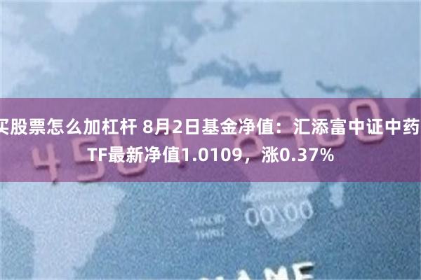 买股票怎么加杠杆 8月2日基金净值：汇添富中证中药ETF最新净值1.0109，涨0.37%