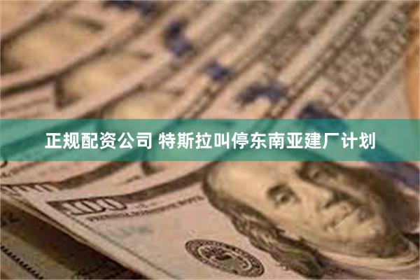 正规配资公司 特斯拉叫停东南亚建厂计划