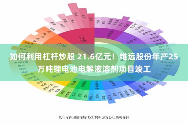 如何利用杠杆炒股 21.6亿元！维远股份年产25万吨锂电池电解液溶剂项目竣工