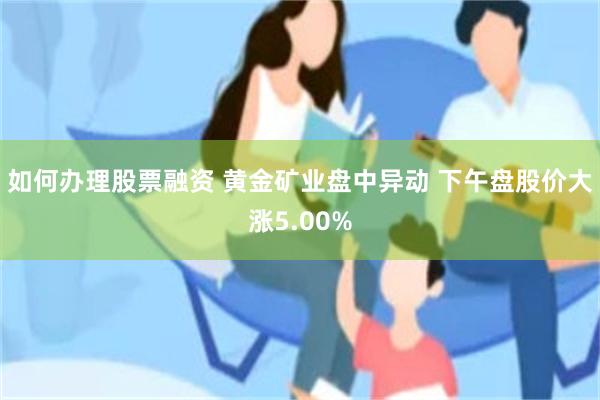 如何办理股票融资 黄金矿业盘中异动 下午盘股价大涨5.00%