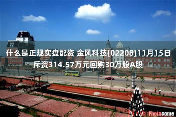 什么是正规实盘配资 金风科技(02208)11月15日斥资314.57万元回购30万股A股