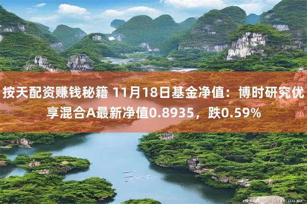 按天配资赚钱秘籍 11月18日基金净值：博时研究优享混合A最新净值0.8935，跌0.59%