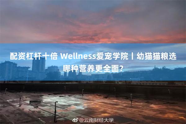 配资杠杆十倍 Wellness爱宠学院丨幼猫猫粮选哪种营养更全面？