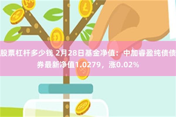 股票杠杆多少钱 2月28日基金净值：中加睿盈纯债债券最新净值1.0279，涨0.02%