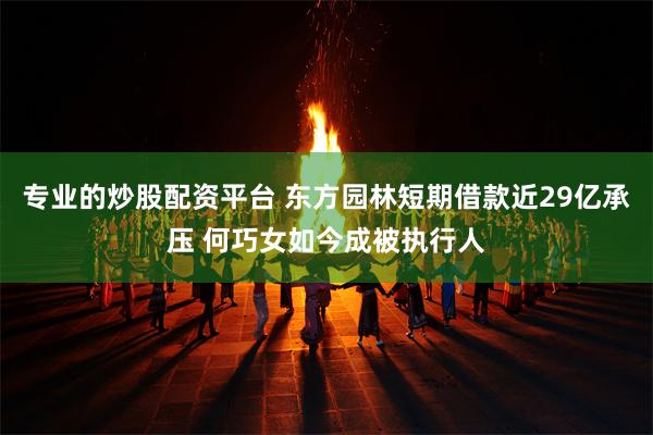 专业的炒股配资平台 东方园林短期借款近29亿承压 何巧女如今成被执行人