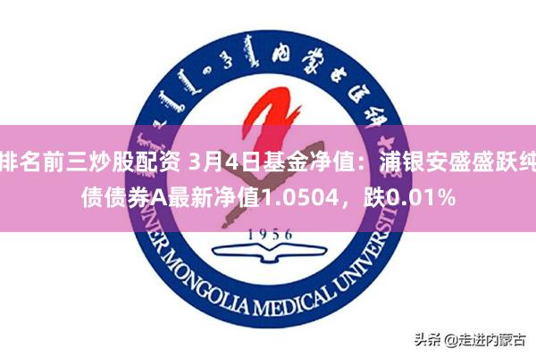 排名前三炒股配资 3月4日基金净值：浦银安盛盛跃纯债债券A最新净值1.0504，跌0.01%