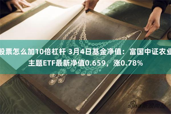 股票怎么加10倍杠杆 3月4日基金净值：富国中证农业主题ETF最新净值0.659，涨0.78%